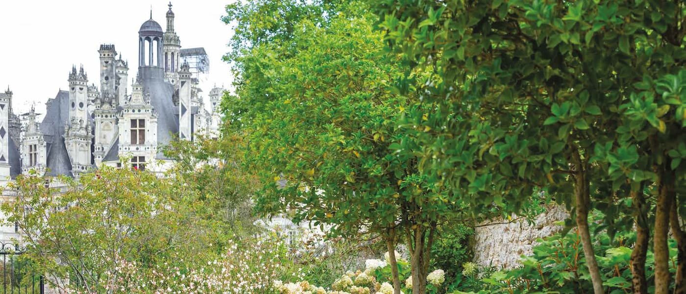 bg jardins dexeption 1 e1769616507292